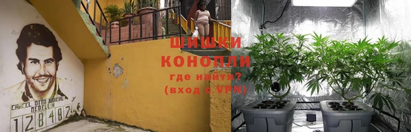 ПСИЛОЦИБИНОВЫЕ ГРИБЫ Арсеньев